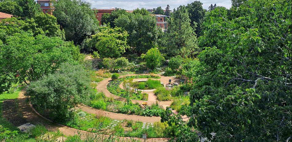 Jardin botanique Henri-Gaussen, Toulouse, France, France